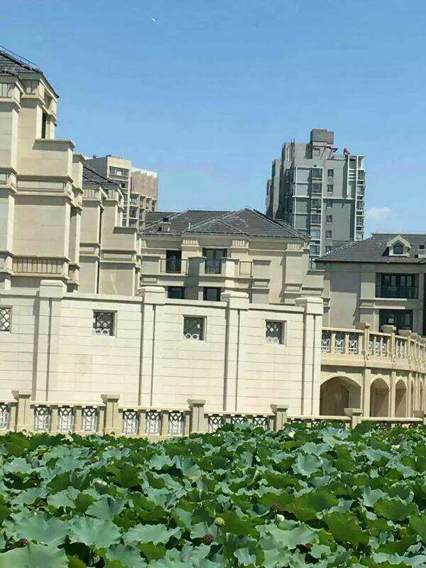 微信图片_20190326185009.jpg